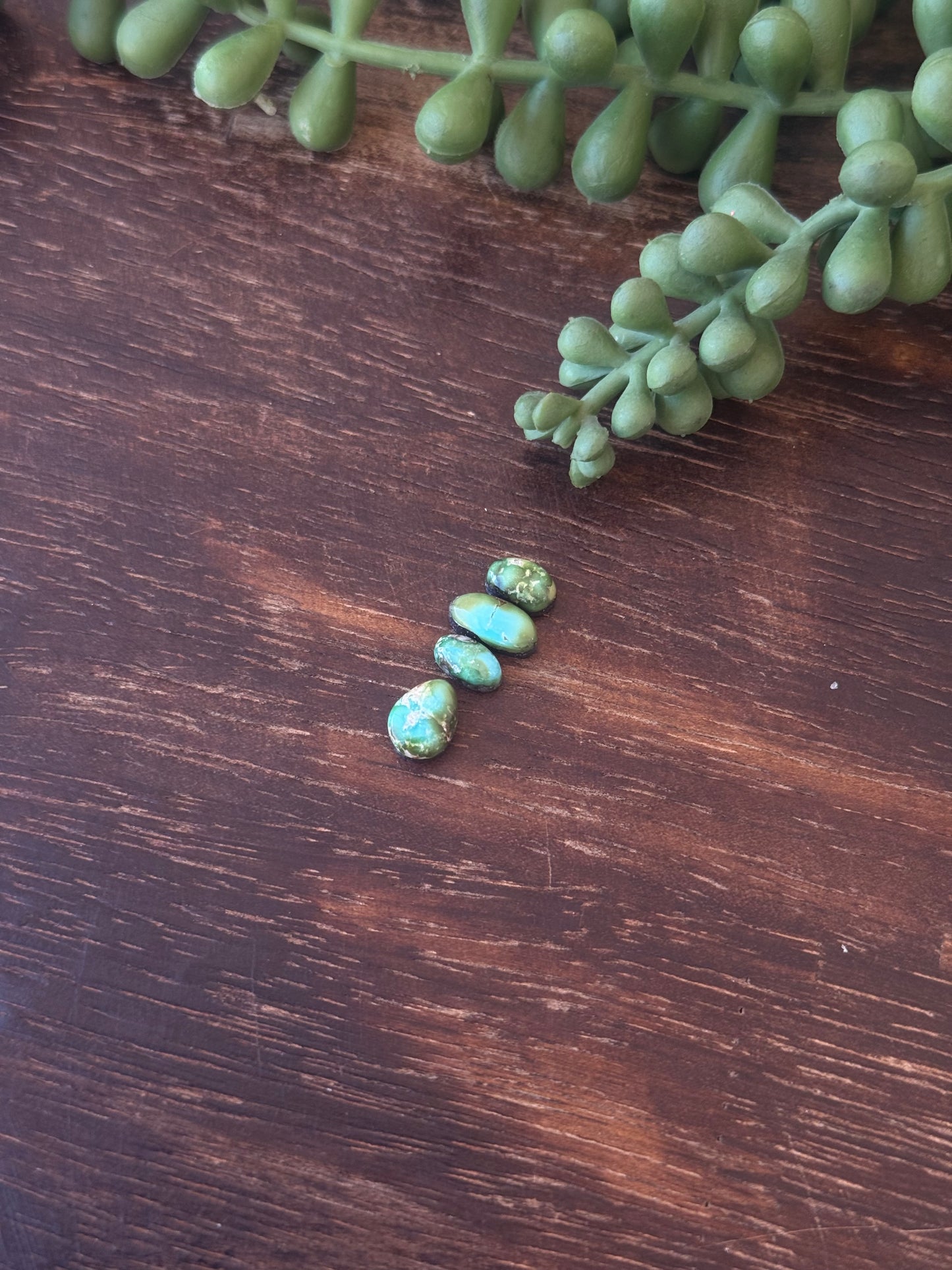 Sonoran Mountain Turquoise Cabs