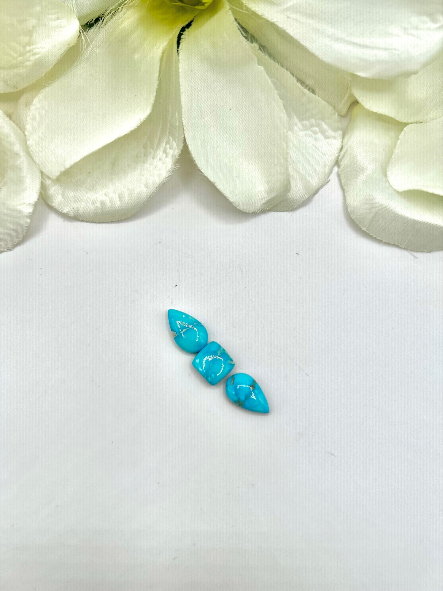 Blue Ridge Turquoise Cabs