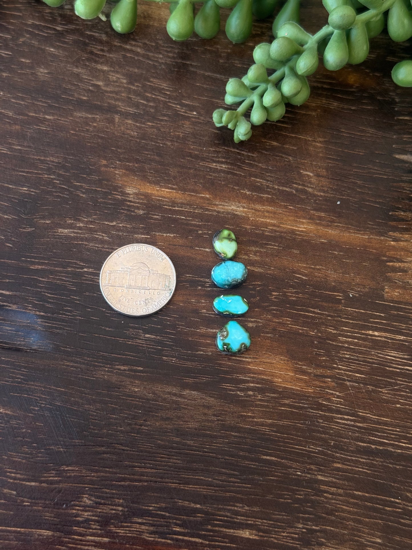 Sonoran Mountain Turquoise Cabs