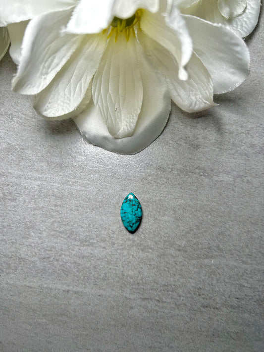 Kingman Turquoise Cab