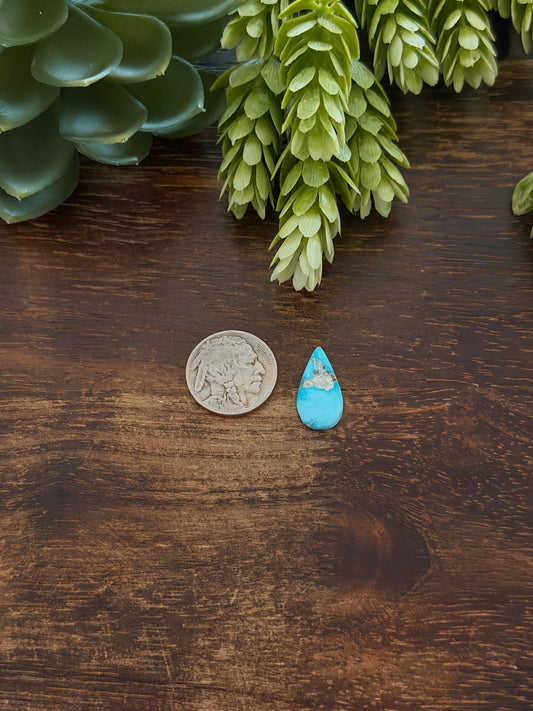 Blue Bird Turquoise Cab
