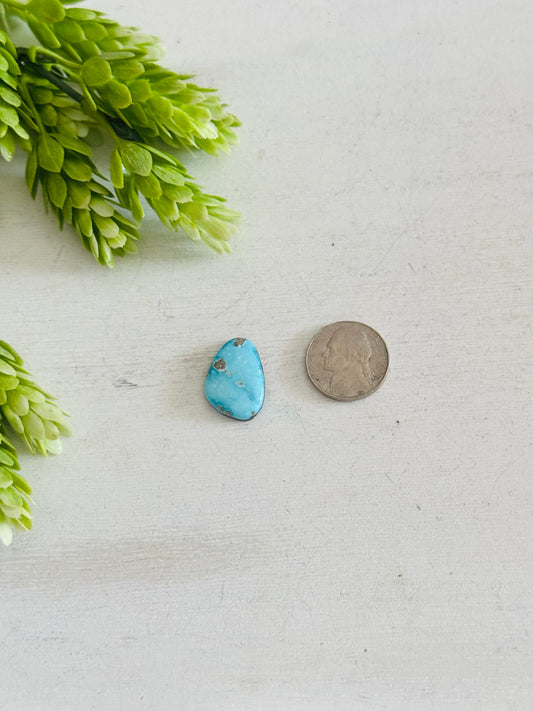 Blue Bird Turquoise Cab