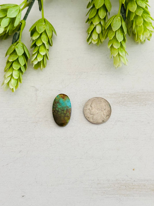 Kingman Turquoise Cab