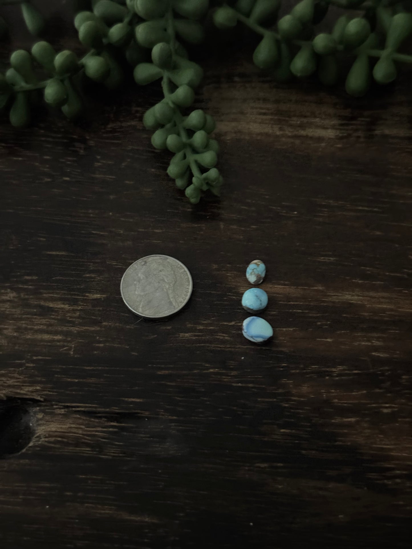 Golden Hills Turquoise Cabs