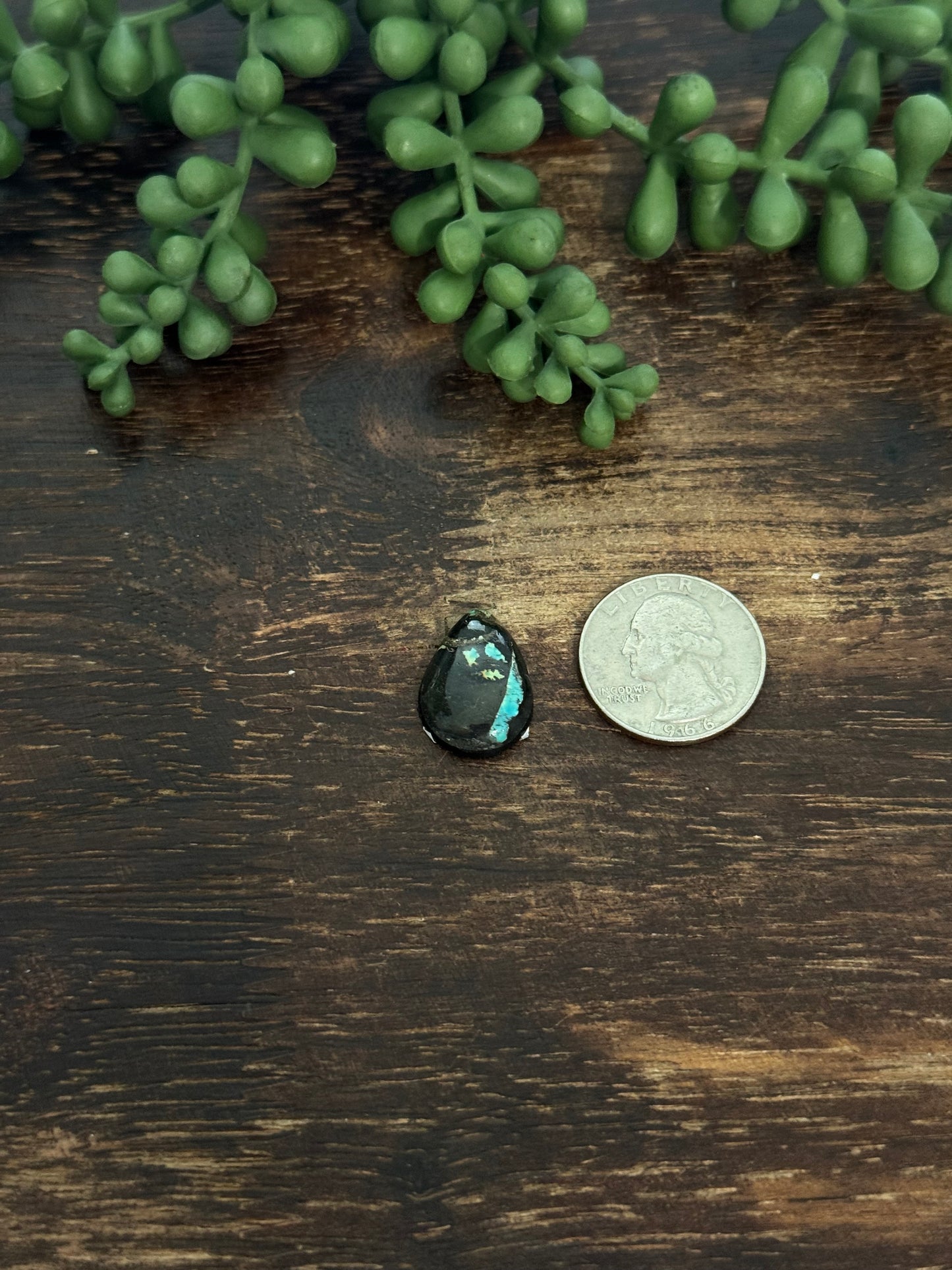 Black Jack Turquoise Cab