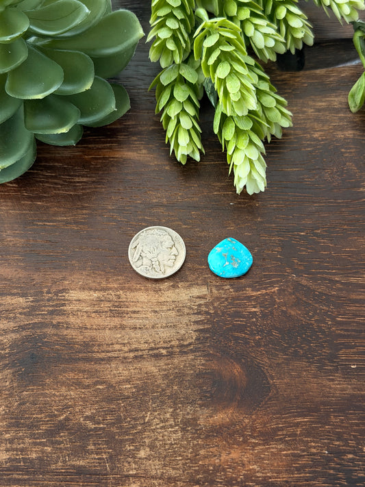 Blue Bird Turquoise Cab