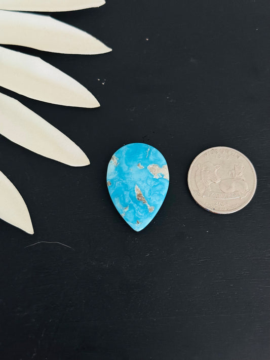Blue Bird Turquoise Cabs
