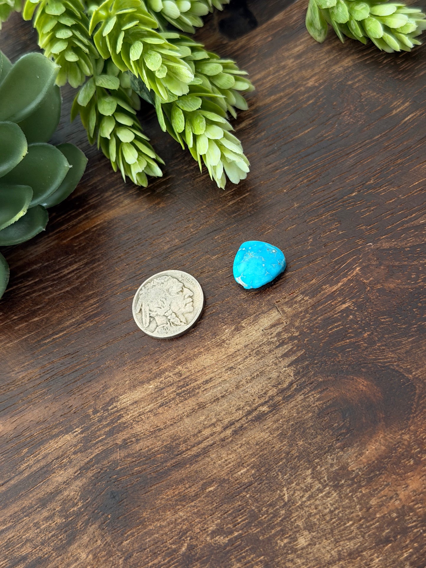 Blue Bird Turquoise Cab