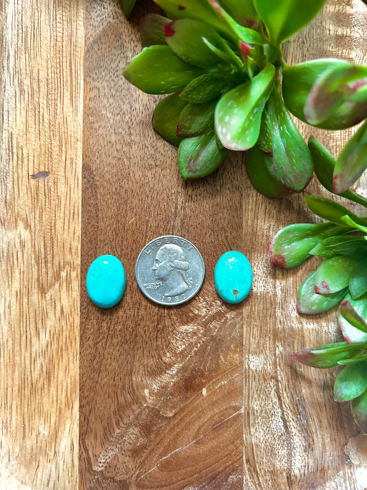 Kingman Turquoise Cabs