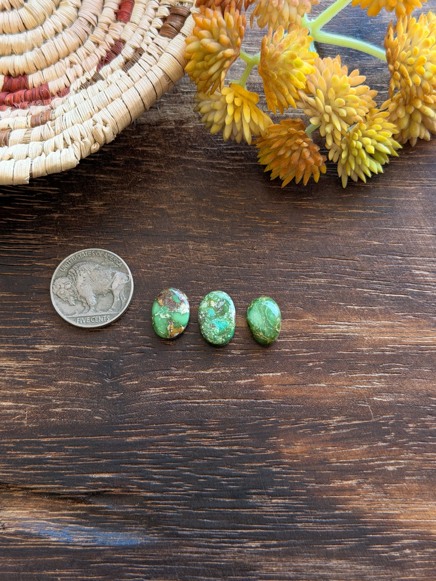 Sonoran Mountain Turquoise Cabs