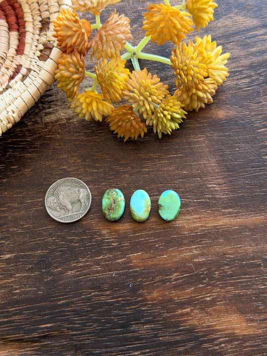 Sonoran Mountain Turquoise Cabs