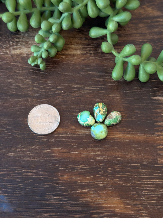 Sonoran Mountain Turquoise Cabs