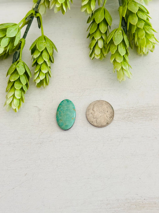 Kingman Turquoise Cab