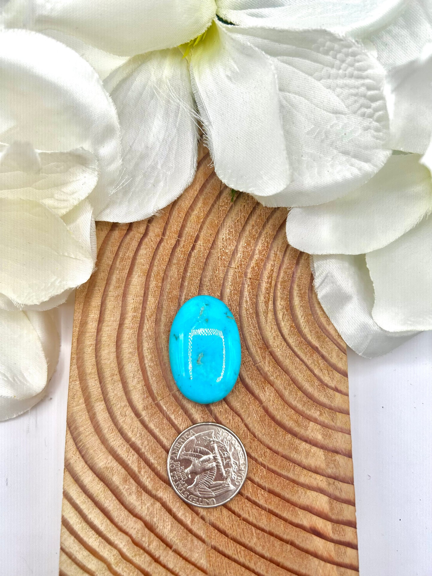 Kingman Turquoise Cab