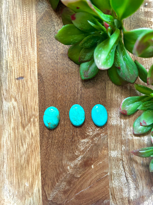Kingman Turquoise Cabs