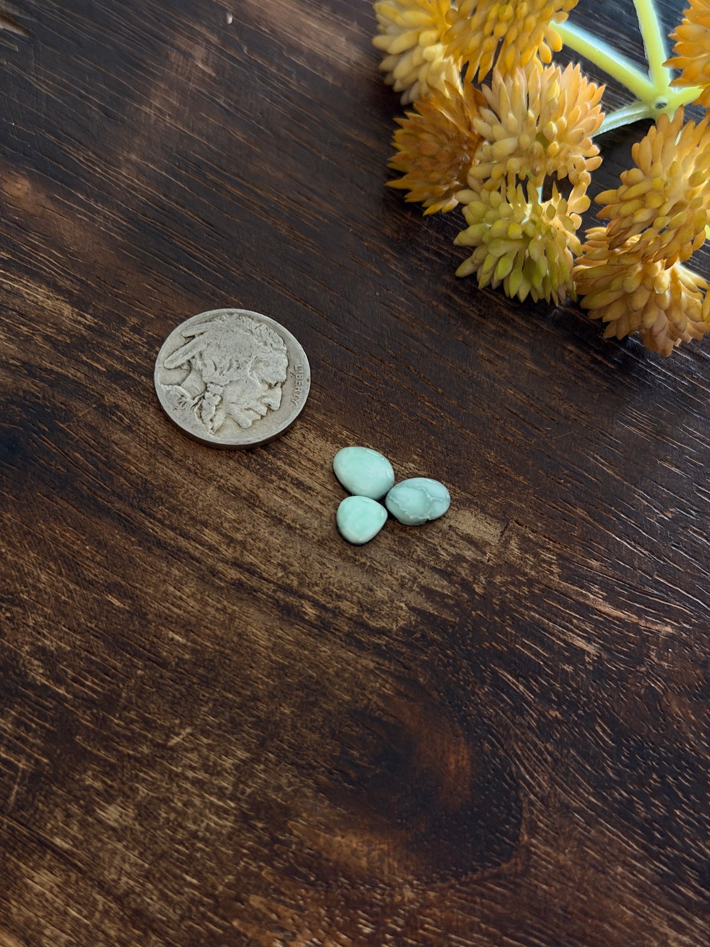 Paloma Variscite Cabs