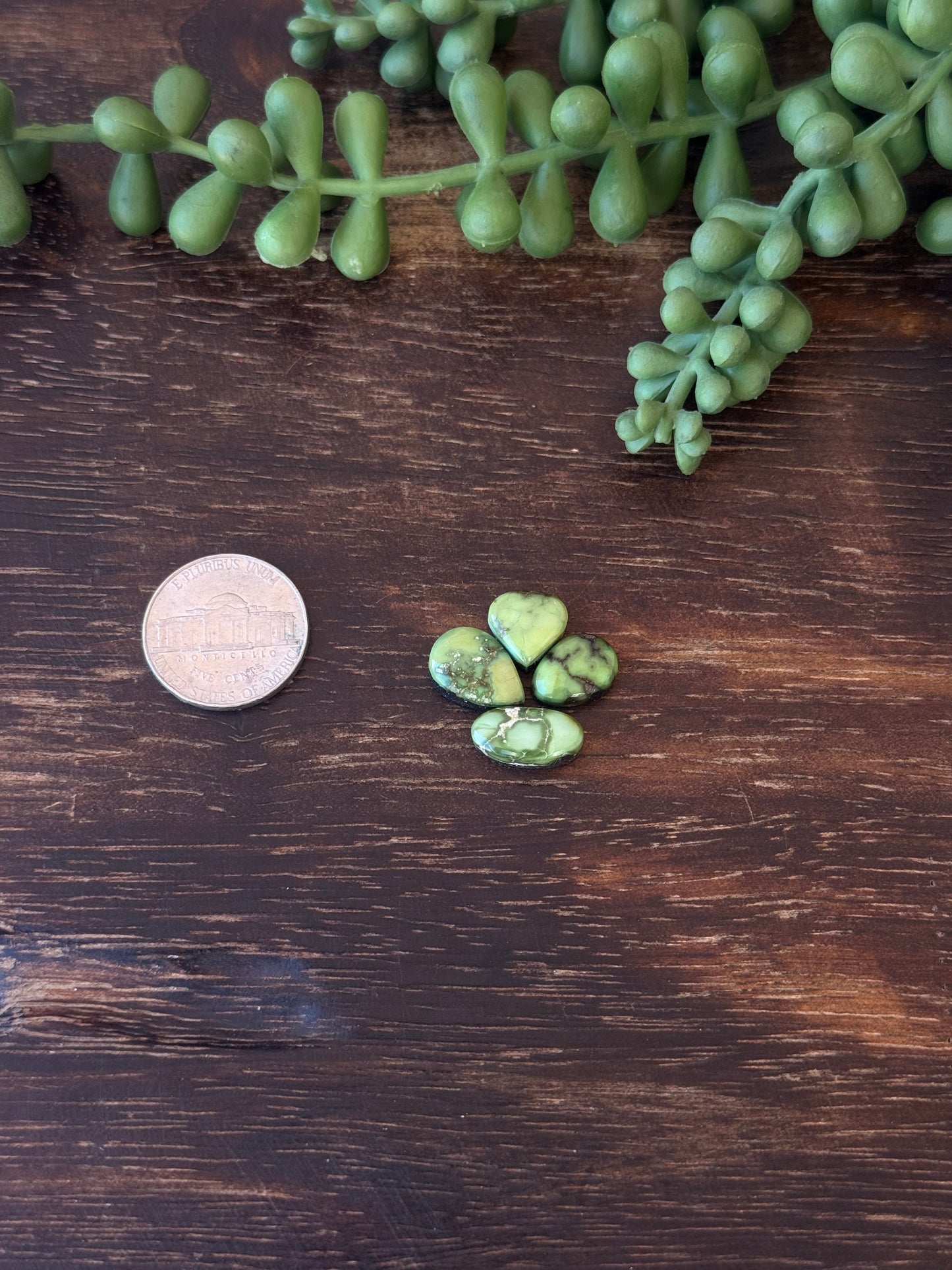 Sonoran Mountain Turquoise Cabs