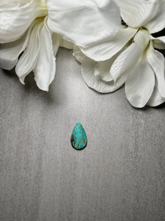 Kingman Turquoise Cab
