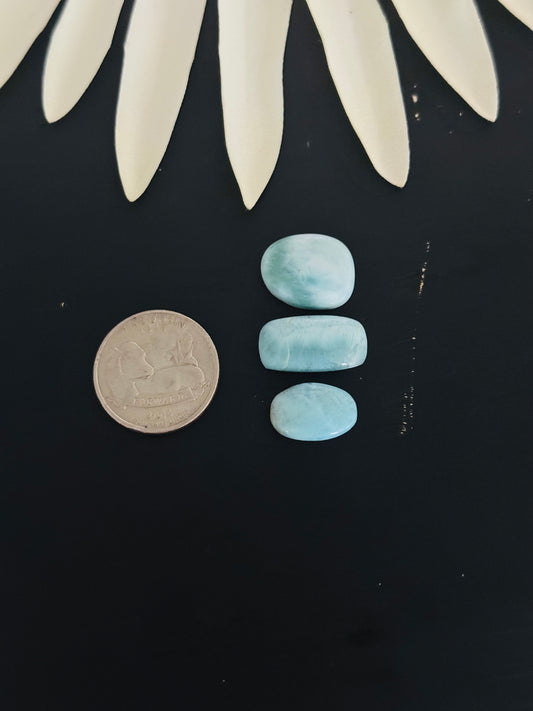 Larimar Cabs