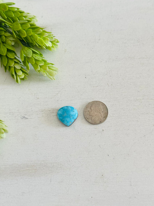 Blue Bird Turquoise Cab