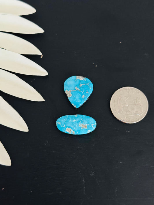 Blue Bird Turquoise Cabs