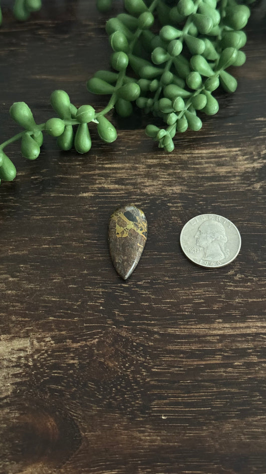 Black Jack Turquoise Cab