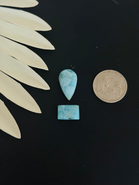 Larimar Cabs