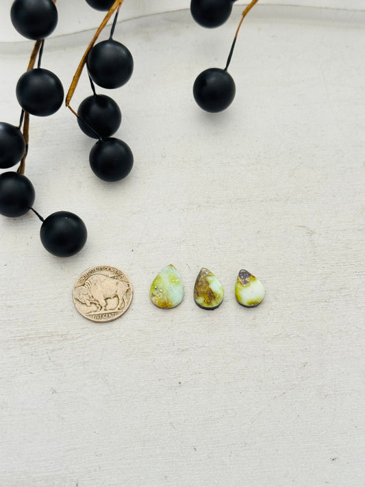 Palomino Variscite Cabs