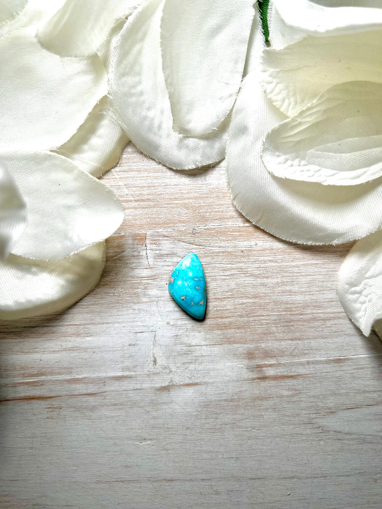 Blue Ridge Turquoise Cab