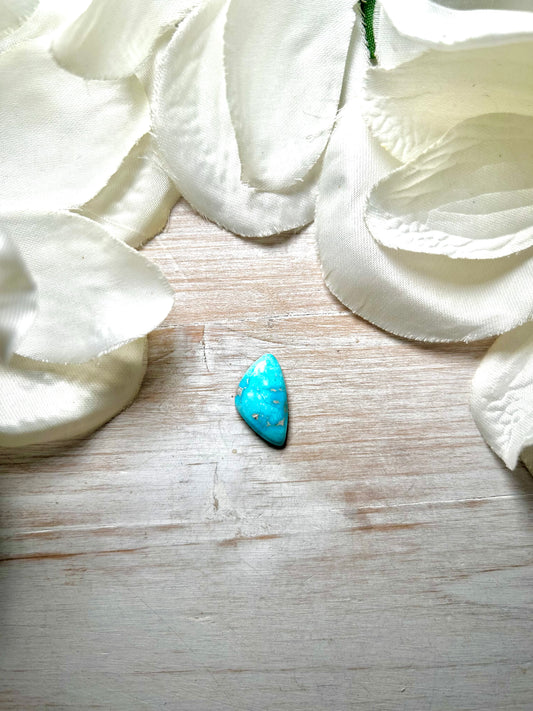 Blue Ridge Turquoise Cab