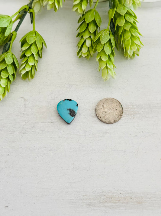 Kingman Turquoise Cab
