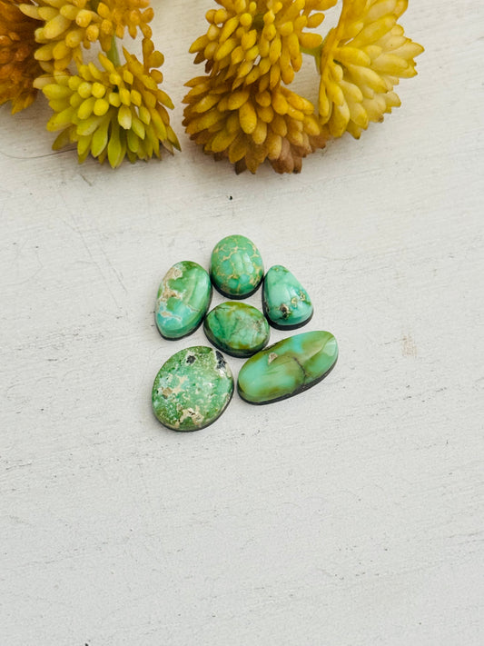 Natural Sonoran Gold Turquoise Cabs