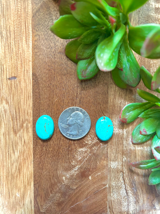 Kingman Turquoise Cabs
