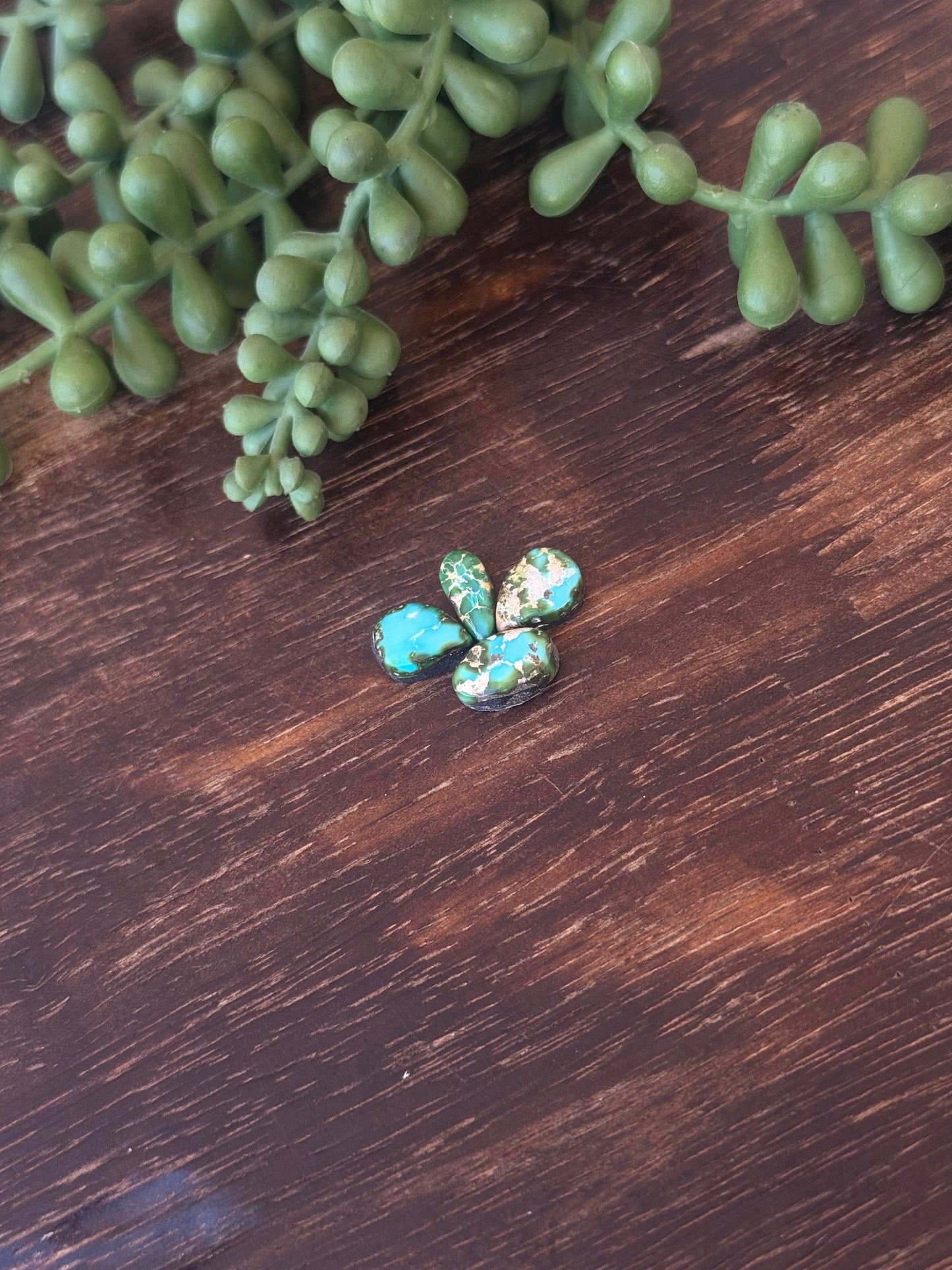 Sonoran Mountain Turquoise Cabs