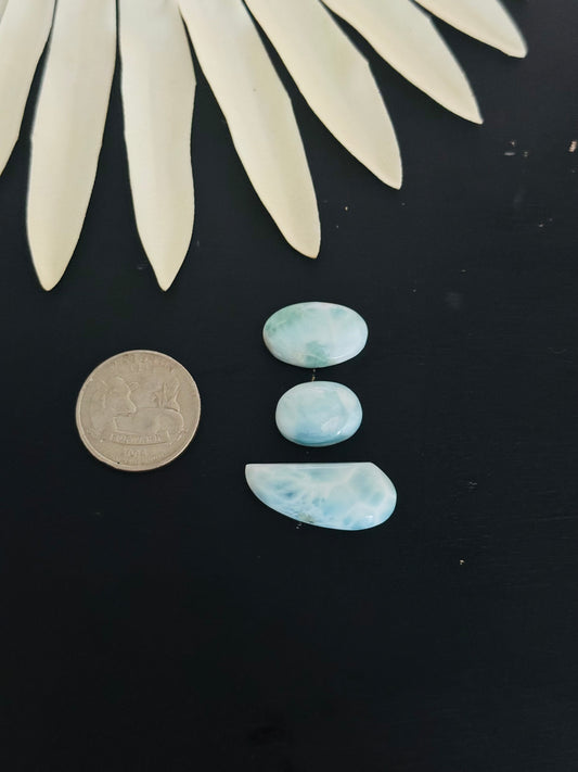 Larimar Cabs