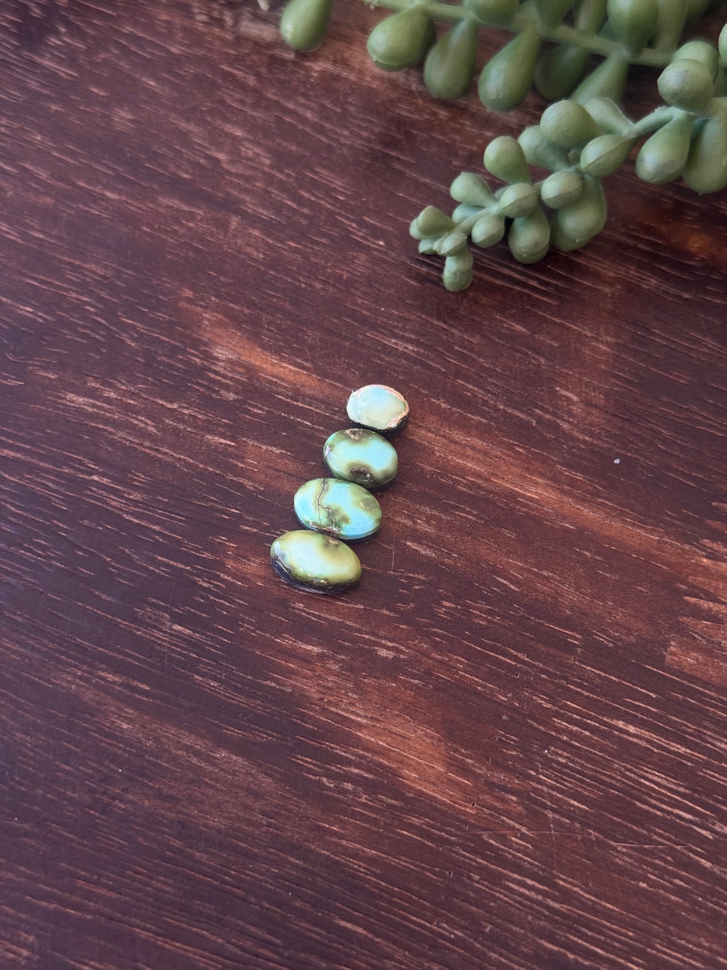 Sonoran Mountain Turquoise Cabs