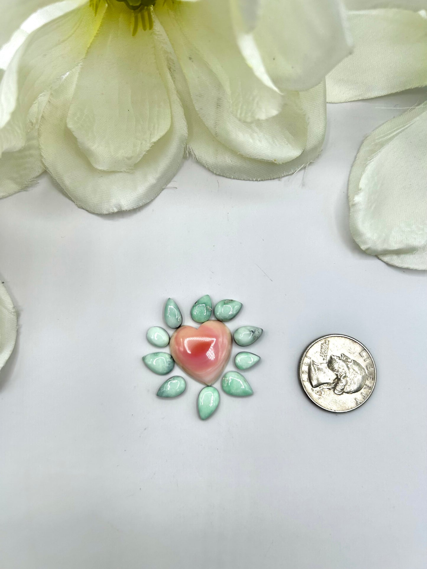 Paloma Variscite/Pink Conch Cabs