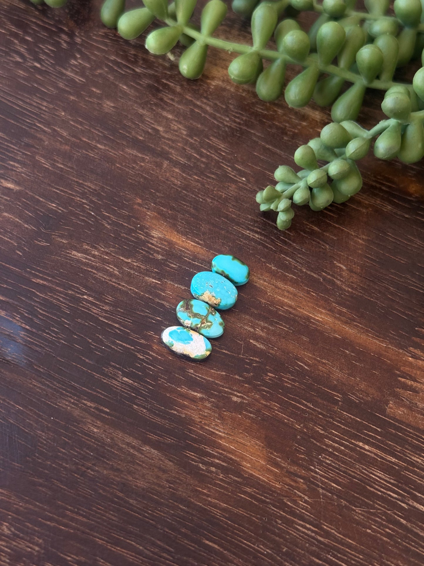 Sonoran Mountain Turquoise Cabs