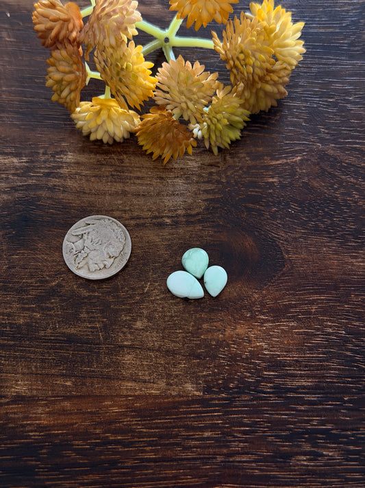 Paloma Variscite Cabs