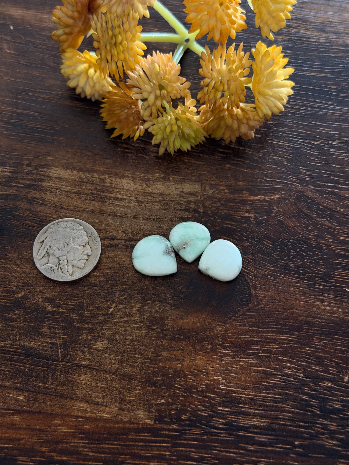 Paloma Variscite Cabs