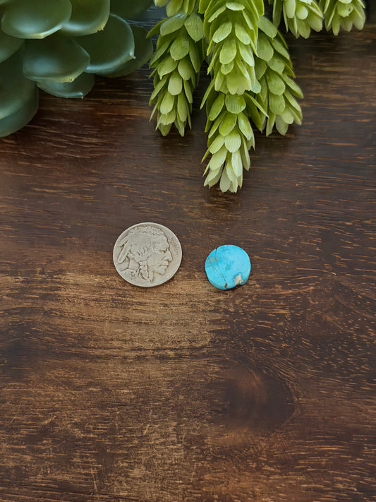 Blue Bird Turquoise Cab