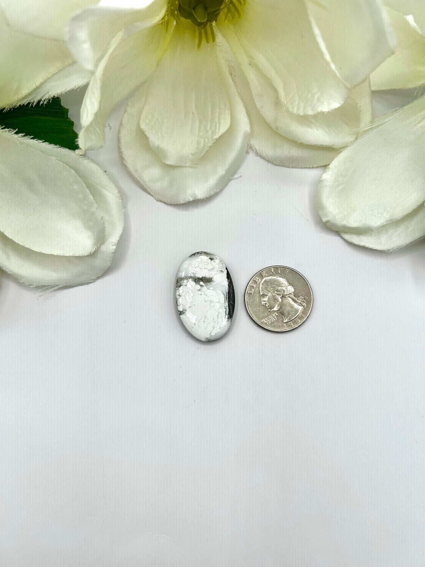 White Buffalo Cabs