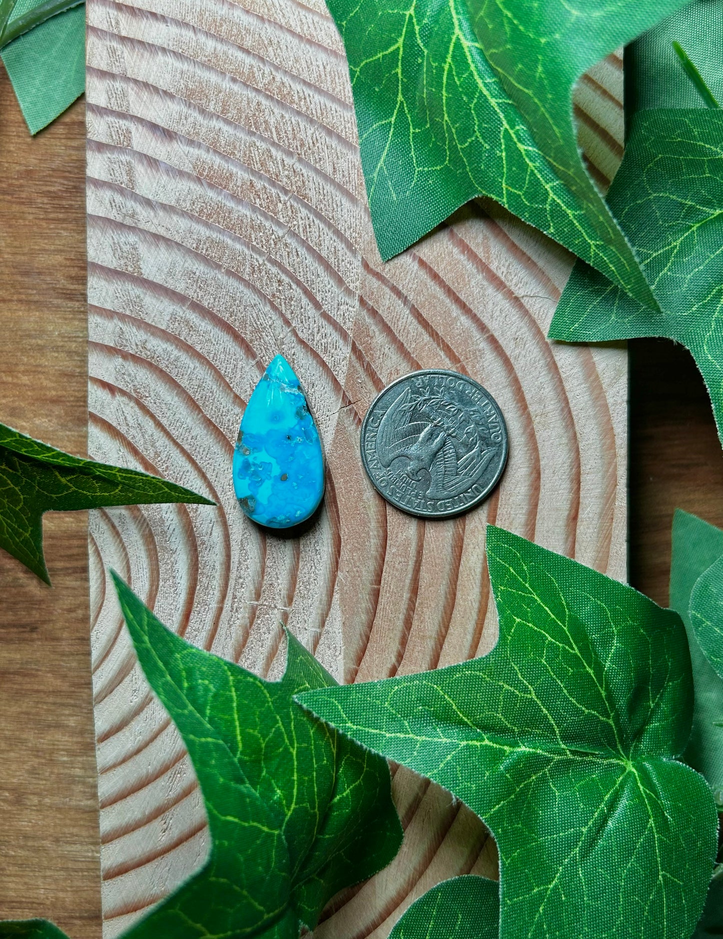 Blue Bird Turquoise Cabs