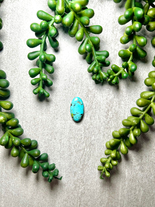 Kingman Turquoise Cab