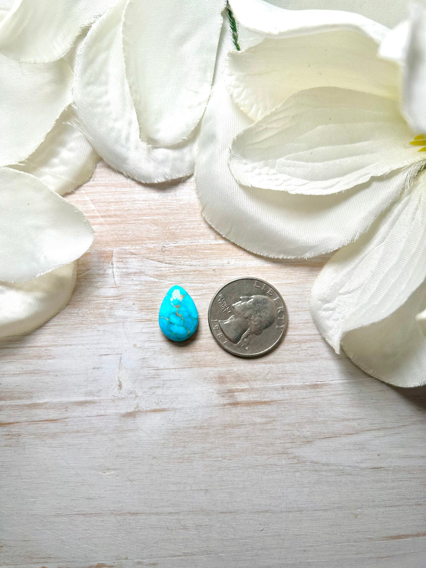 Blue Ridge Turquoise Cab