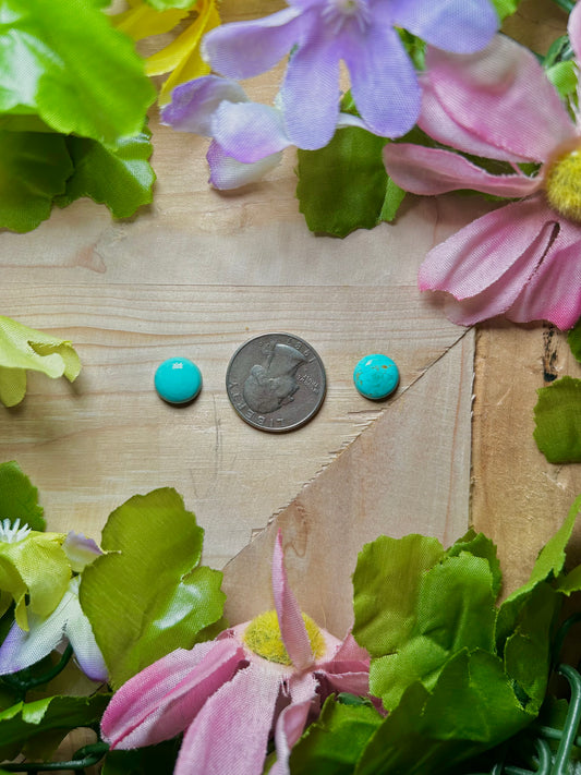 Kingman Turquoise Cabs