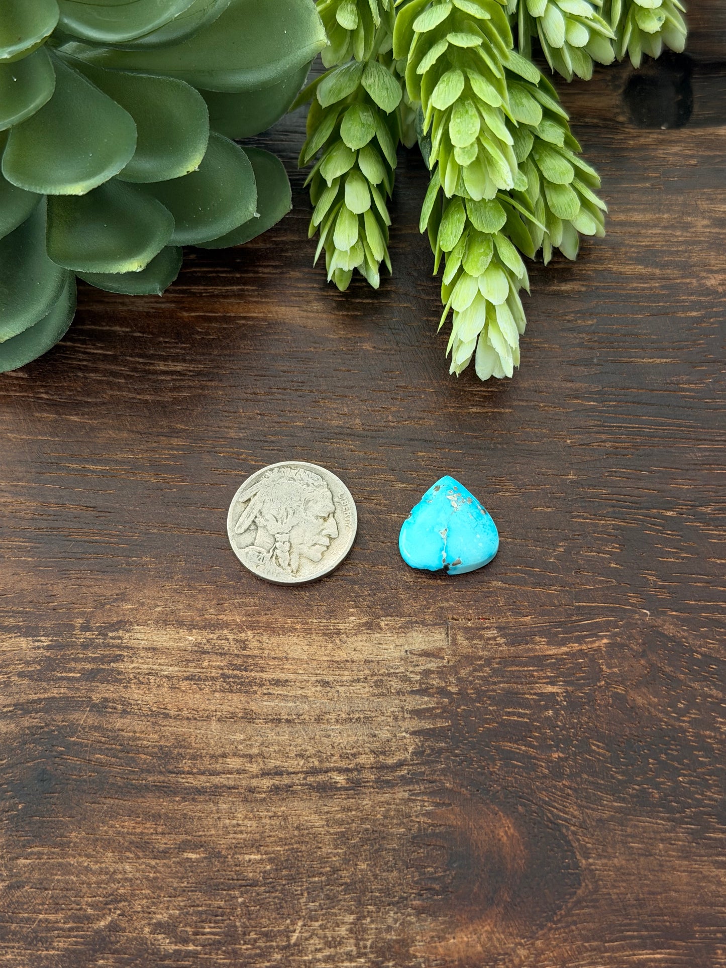 Blue Bird Turquoise Cab