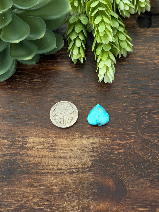 Blue Bird Turquoise Cab