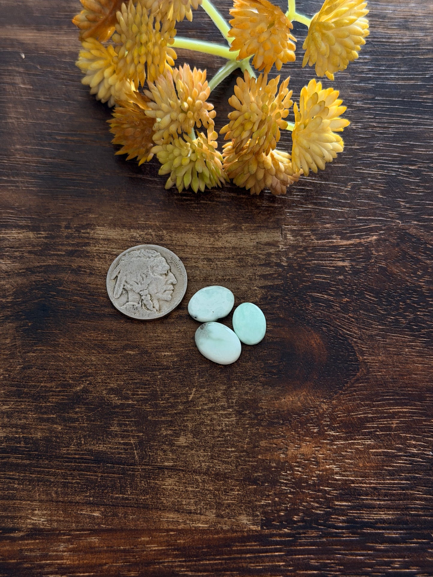 Paloma Variscite Cabs