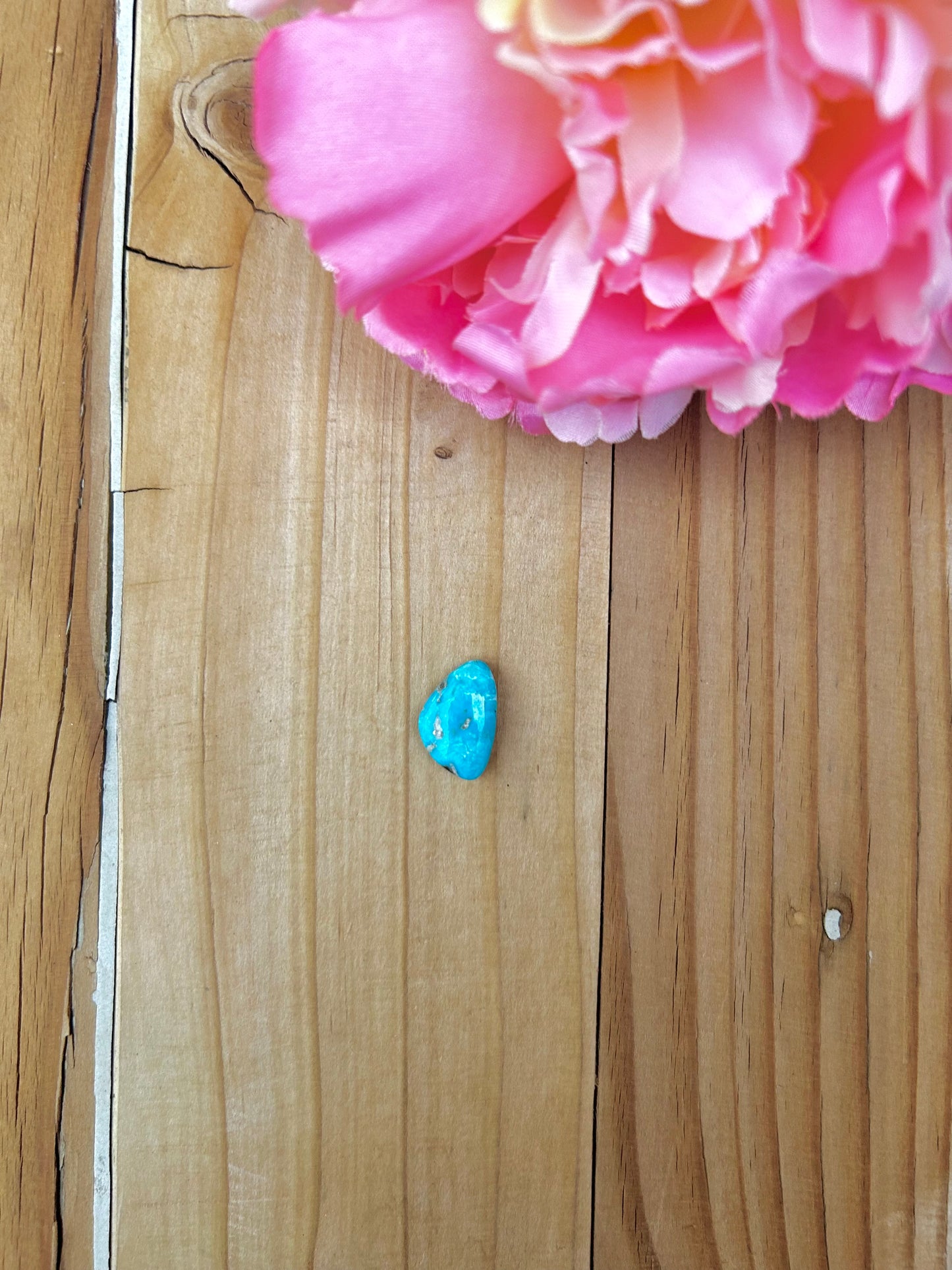 Blue Bird Turquoise Cabs